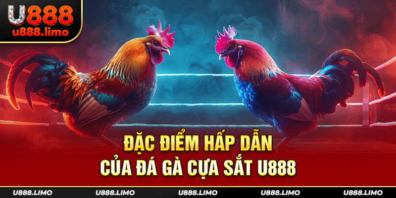 Đặc điểm hấp dẫn của đá gà cựa sắt U888