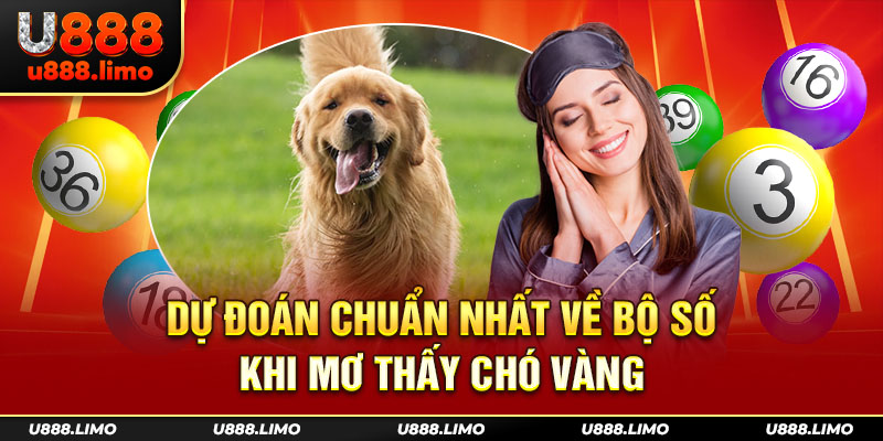 Dự đoán chuẩn nhất về bộ số khi Mơ Thấy Chó Vàng