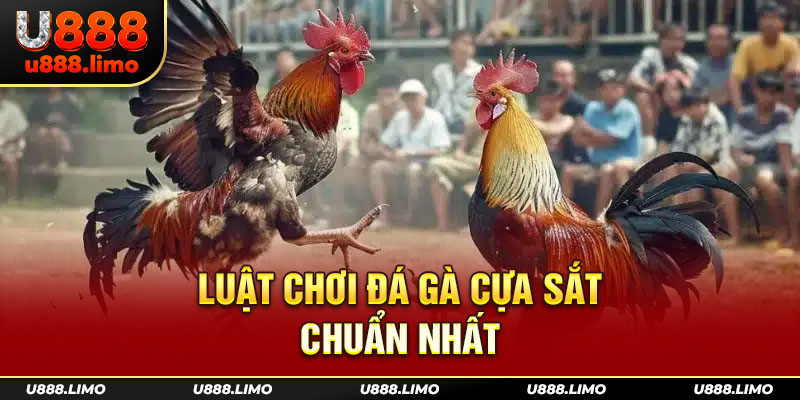 Luật chơi đá gà cựa sắt chuẩn nhất