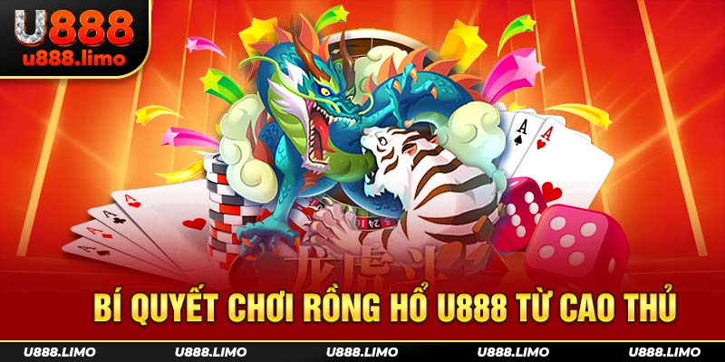 Bí quyết chơi Rồng Hổ U888 từ cao thủ