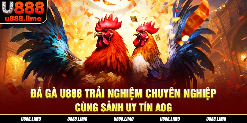 Đá gà U888 trải nghiệm chuyên nghiệp cùng sảnh uy tín AOG