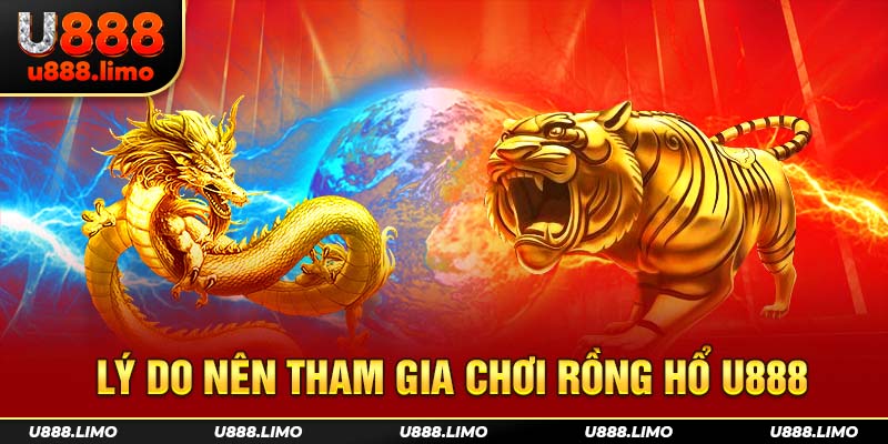 Lý do nên tham gia chơi Rồng Hổ U888