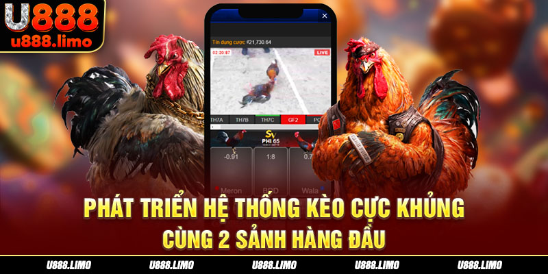 Phát triển hệ thống kèo cực khủng cùng 2 sảnh hàng đầu